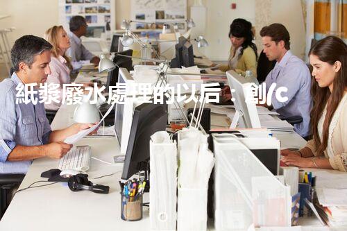 紙漿廢水處理的以后：創(chuàng)新技術(shù)與生態(tài)平衡？